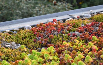 the cost of Bugthorpe green roof installation