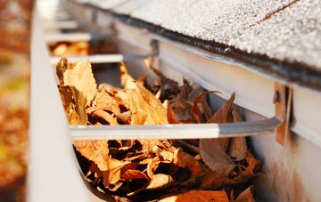 Bugthorpe gutter cleaning companies