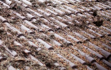 Bugthorpe roof cleaning companies