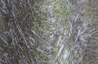 Bugthorpe fibreglass roof work